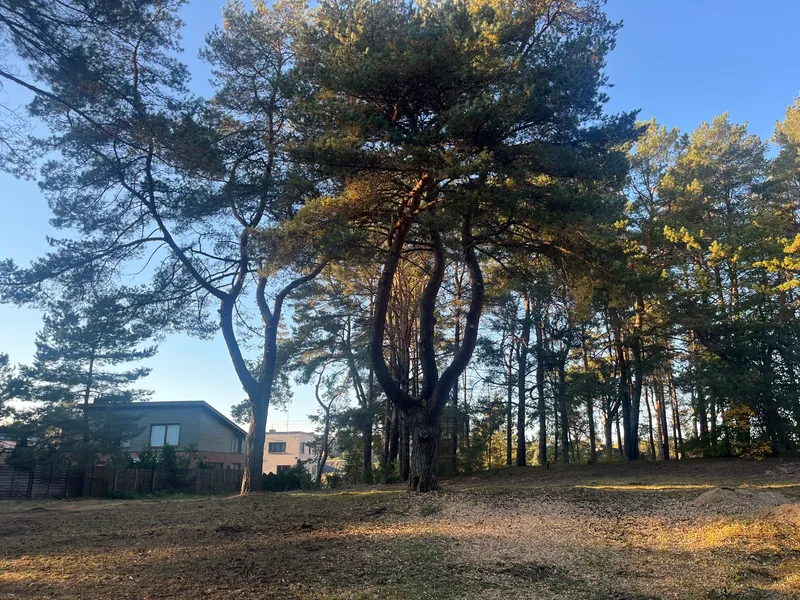 Mėnulio al. 4, Kačerginė