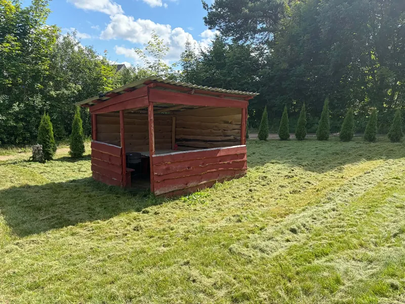 Pušyno g., Pašekščias