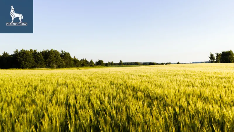 Parduodamas sklypas Verbuškės, 61.35 a ploto